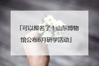 可以报名了！山东博物馆公布6月研学活动