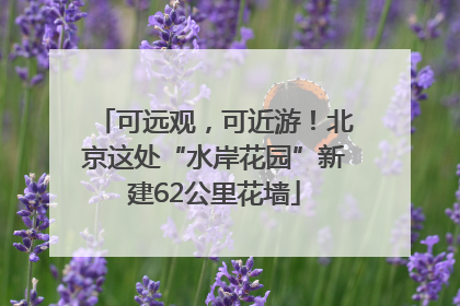 可远观，可近游！北京这处“水岸花园”新建62公里花墙