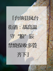 台前县凤台街道：战高温守“粮”辰 禁烧保收多管齐下