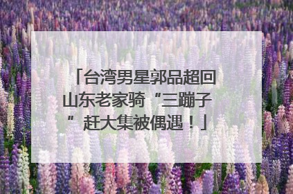 台湾男星郭品超回山东老家骑“三蹦子”赶大集被偶遇！