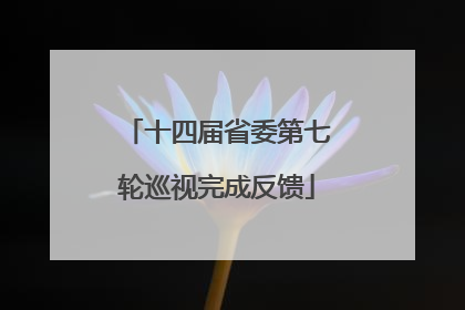 十四届省委第七轮巡视完成反馈
