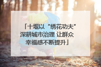 十堰以“绣花功夫”深耕城市治理 让群众幸福感不断提升