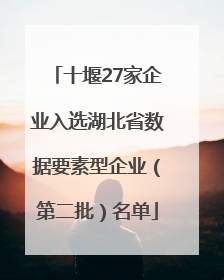 十堰27家企业入选湖北省数据要素型企业（第二批）名单