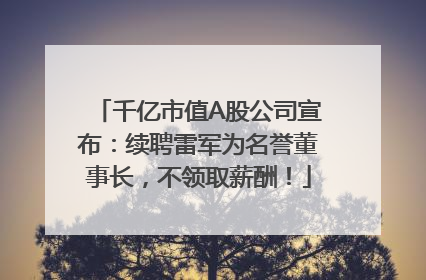 千亿市值A股公司宣布：续聘雷军为名誉董事长，不领取薪酬！