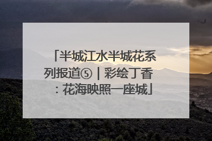 半城江水半城花系列报道⑤｜彩绘丁香：花海映照一座城