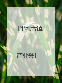 半扎古镇产业兴