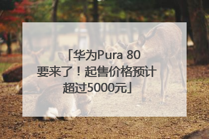 华为Pura 80要来了！起售价格预计超过5000元