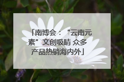 南博会：“云南元素”文创吸睛 众多产品热销海内外