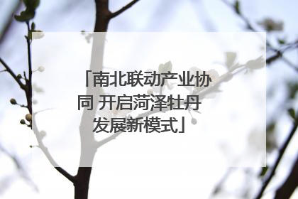 南北联动产业协同 开启菏泽牡丹发展新模式