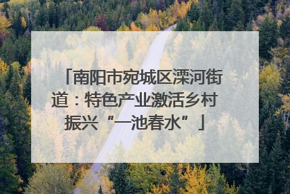 南阳市宛城区溧河街道：特色产业激活乡村振兴“一池春水”