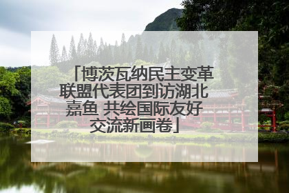 博茨瓦纳民主变革联盟代表团到访湖北嘉鱼 共绘国际友好交流新画卷