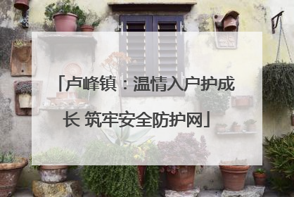 卢峰镇：温情入户护成长 筑牢安全防护网