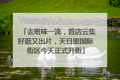 去班味一流，首店云集好逛又出片，天目里国际街区今天正式开街