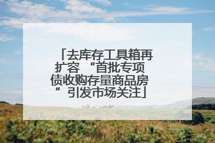 去库存工具箱再扩容 “首批专项债收购存量商品房”引发市场关注