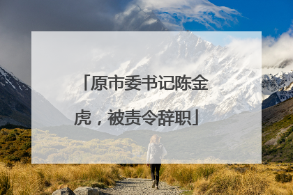 原市委书记陈金虎，被责令辞职