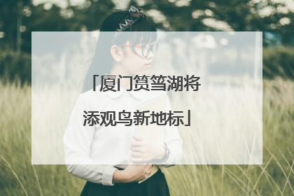 厦门筼筜湖将添观鸟新地标