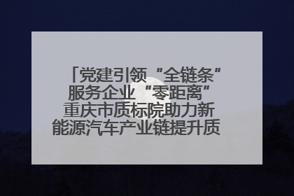 党建引领“全链条” 服务企业“零距离” 重庆市质标院助力新能源汽车产业链提升质量管理水平