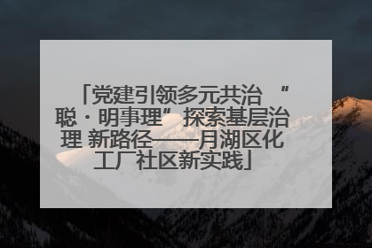 党建引领多元共治 “聪・明事理”探索基层治理 新路径——月湖区化工厂社区新实践