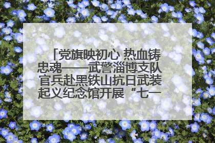 党旗映初心 热血铸忠魂——武警淄博支队官兵赴黑铁山抗日武装起义纪念馆开展“七一”主题党日活动
