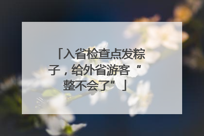 入省检查点发粽子，给外省游客“整不会了”