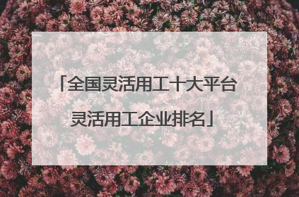 全国灵活用工十大平台 灵活用工企业排名