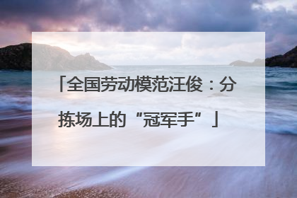 全国劳动模范汪俊：分拣场上的“冠军手”