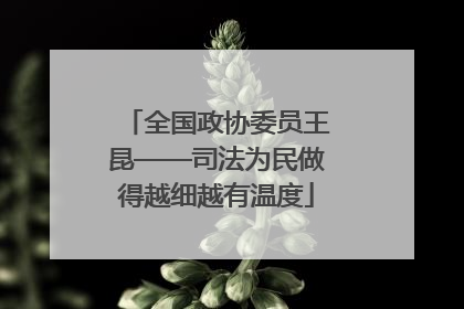 全国政协委员王昆——司法为民做得越细越有温度