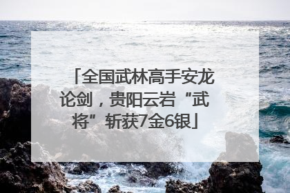全国武林高手安龙论剑，贵阳云岩“武将”斩获7金6银