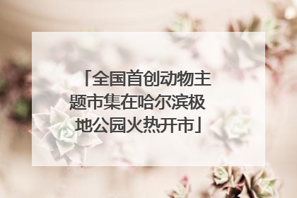 全国首创动物主题市集在哈尔滨极地公园火热开市