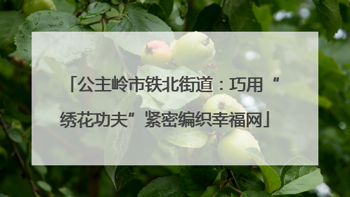 公主岭市铁北街道：巧用“绣花功夫”紧密编织幸福网