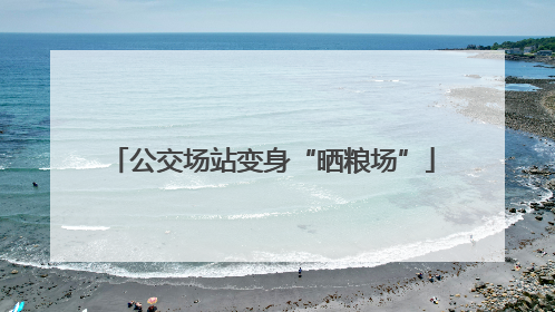 公交场站变身“晒粮场”
