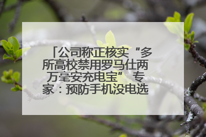 公司称正核实“多所高校禁用罗马仕两万毫安充电宝” 专家：预防手机没电选中等体积产品即可