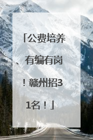 公费培养、有编有岗！赣州招31名！