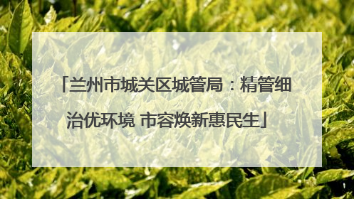 兰州市城关区城管局：精管细治优环境 市容焕新惠民生