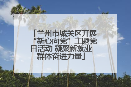 兰州市城关区开展“新心向党”主题党日活动 凝聚新就业群体奋进力量