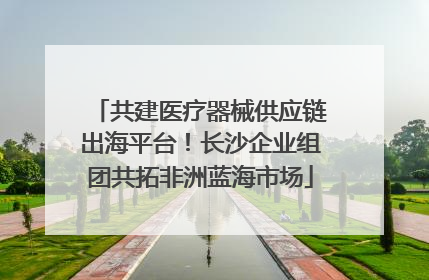 共建医疗器械供应链出海平台！长沙企业组团共拓非洲蓝海市场