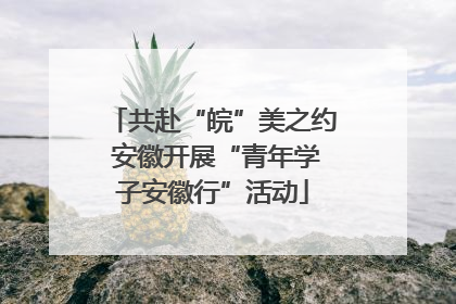 共赴“皖”美之约 安徽开展“青年学子安徽行”活动