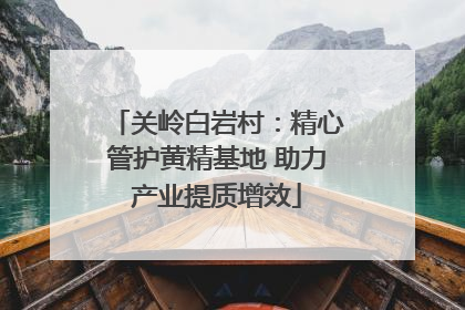 关岭白岩村：精心管护黄精基地 助力产业提质增效
