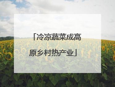 冷凉蔬菜成高原乡村热产业