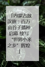 内蒙古敖汉旗：百万亩谷子播种启幕 续写“世界小米之乡”辉煌