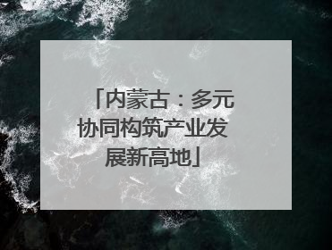 内蒙古：多元协同构筑产业发展新高地
