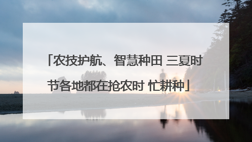 农技护航、智慧种田 三夏时节各地都在抢农时 忙耕种