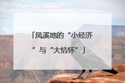 凤溪地的“小经济”与“大情怀”