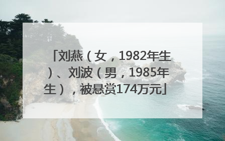 刘燕（女，1982年生）、刘波（男，1985年生），被悬赏174万元
