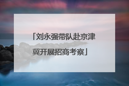 刘永强带队赴京津冀开展招商考察