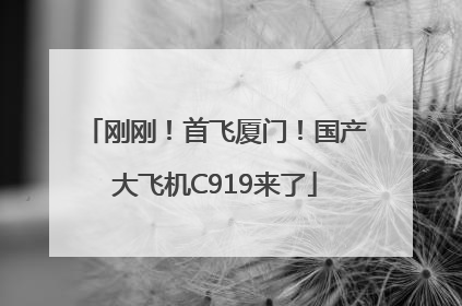 刚刚！首飞厦门！国产大飞机C919来了