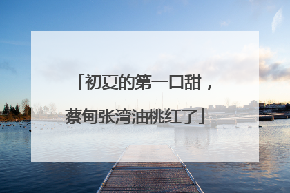 初夏的第一口甜，蔡甸张湾油桃红了