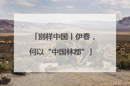 别样中国丨伊春，何以“中国林都”