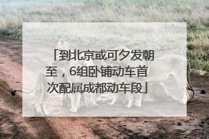到北京或可夕发朝至，6组卧铺动车首次配属成都动车段