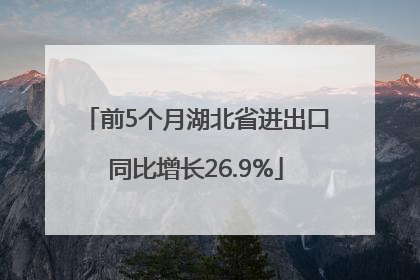 前5个月湖北省进出口同比增长26.9%